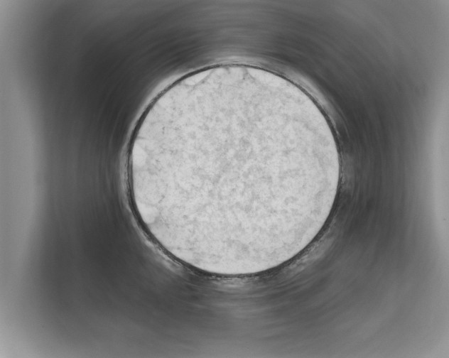 X0000111601048200908271005