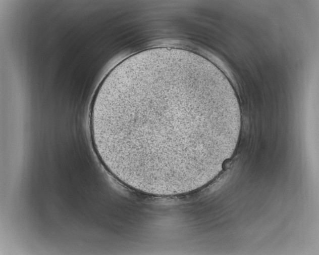X0000111601050200908271005