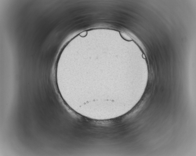 X0000111601053200908271005