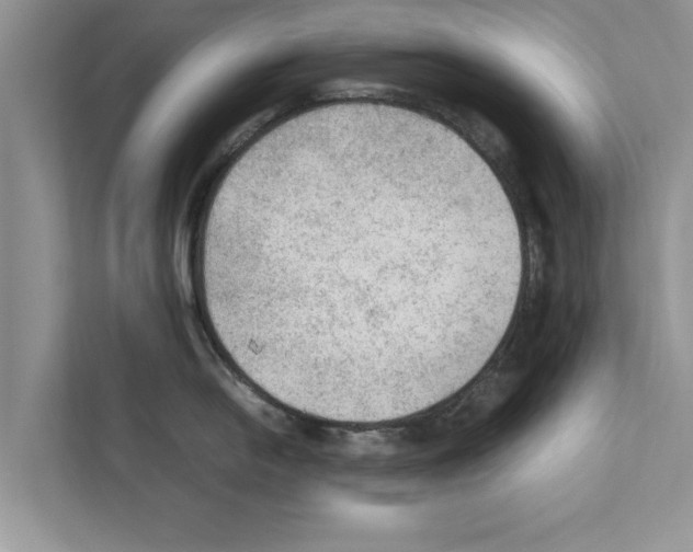 X0000111601054200908271005