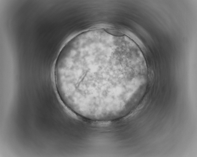 X0000111601055200908271005