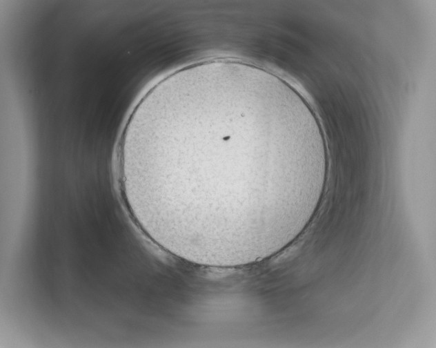 X0000111601056200908271005