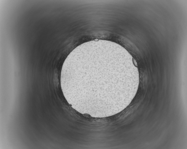 X0000111601058200908271004