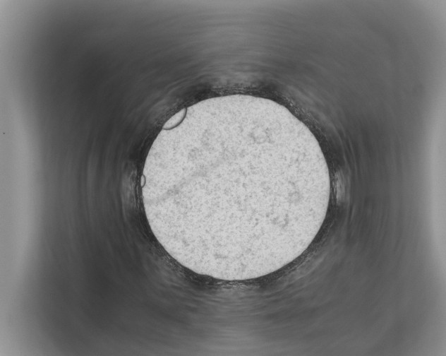 X0000111601059200908271004