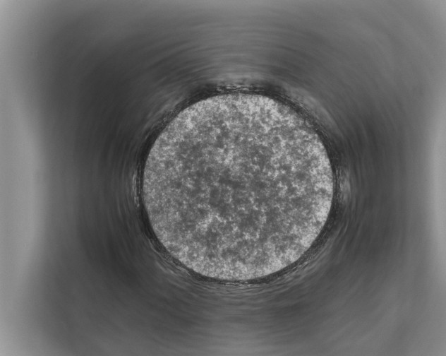 X0000111601060200908271004