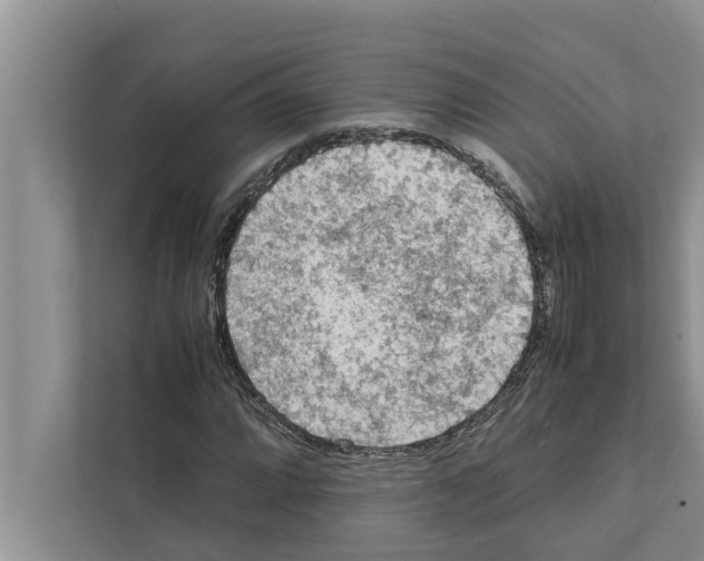 X0000111601064200908271004
