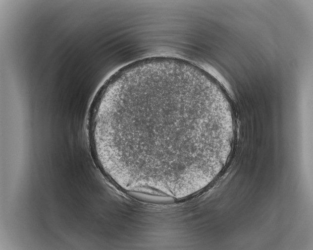 X0000111601068200908271004