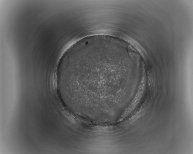 X0000111601069200908271004