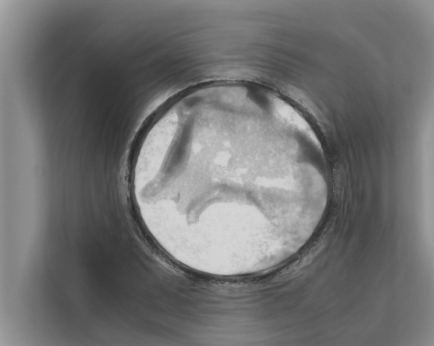 X0000111601071200908271004