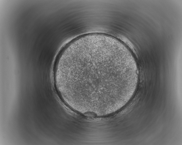 X0000111601072200908271004