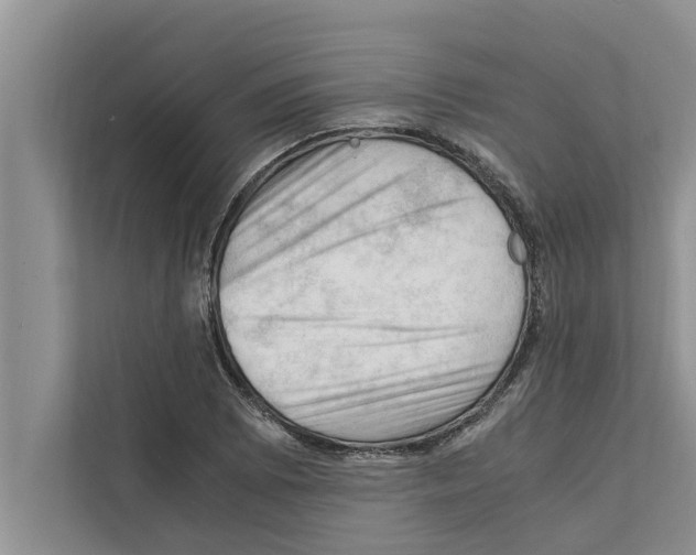 X0000111601073200908271004