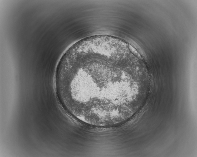 X0000111601076200908271004