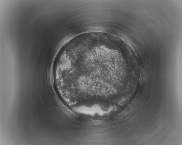 X0000111601080200908271004