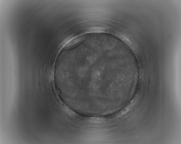 X0000111601081200908271004