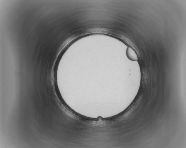 X0000111601082200908271004