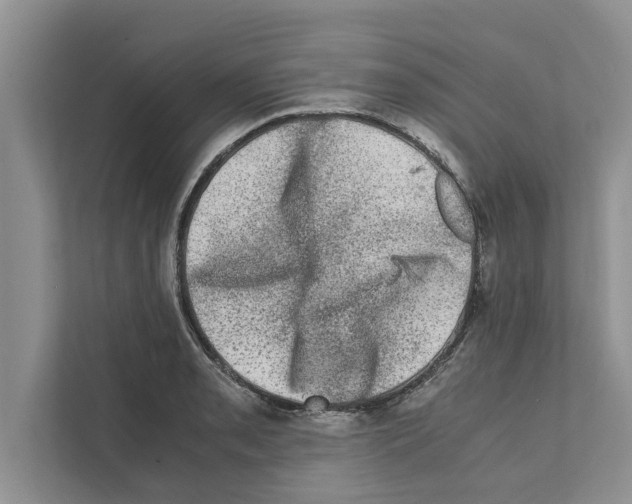 X0000111601085200908271004
