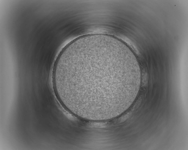 X0000111601086200908271004