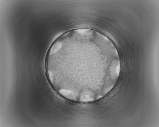 X0000111601087200908271004