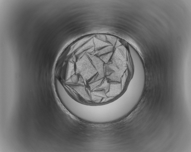 X0000111601088200908271004