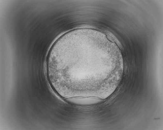 X0000111601092200908271004