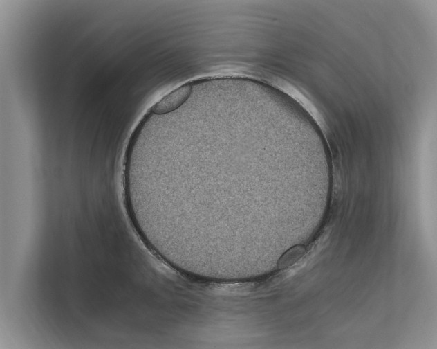 X0000111601093200908271004