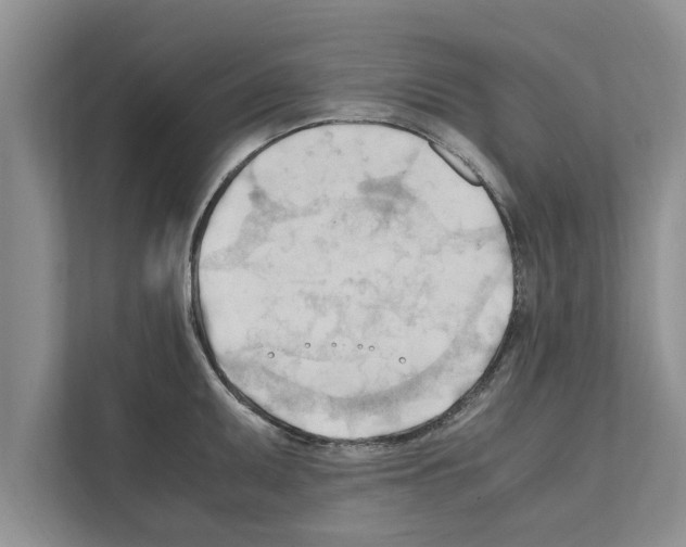 X0000111601095200908271004