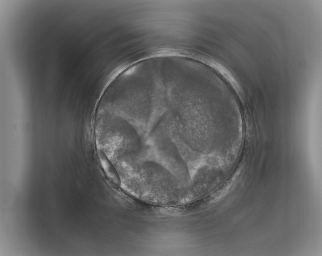 X0000111601097200908271004