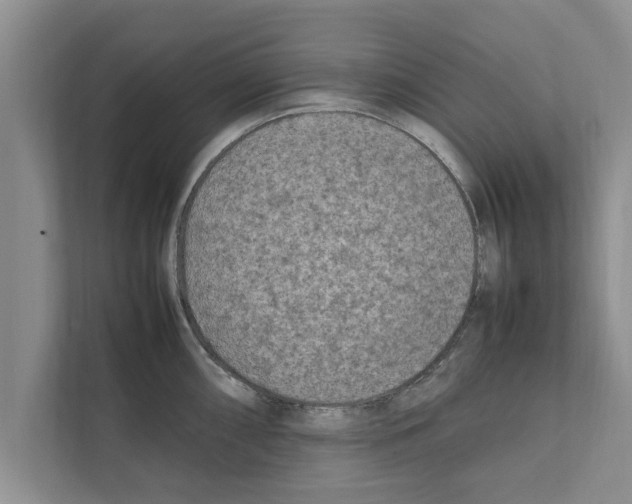 X0000111601098200908271004