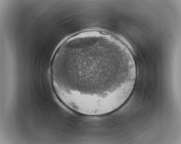 X0000111601100200908271004