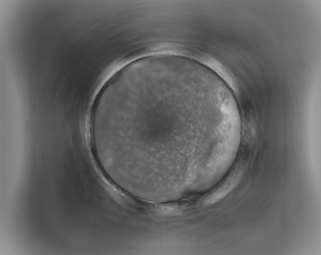 X0000111601101200908271004