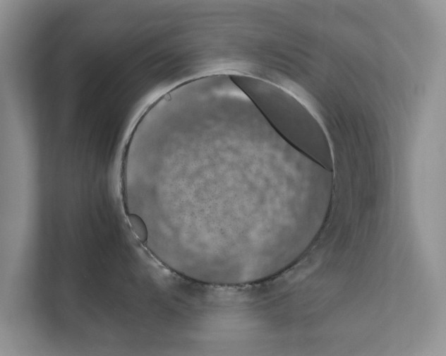 X0000111601104200908271004