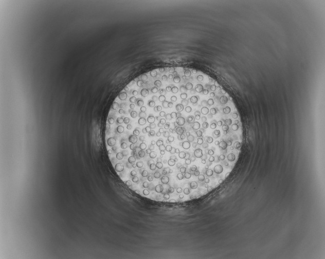 X0000111601106200908271003