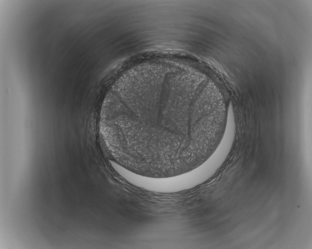X0000111601110200908271003
