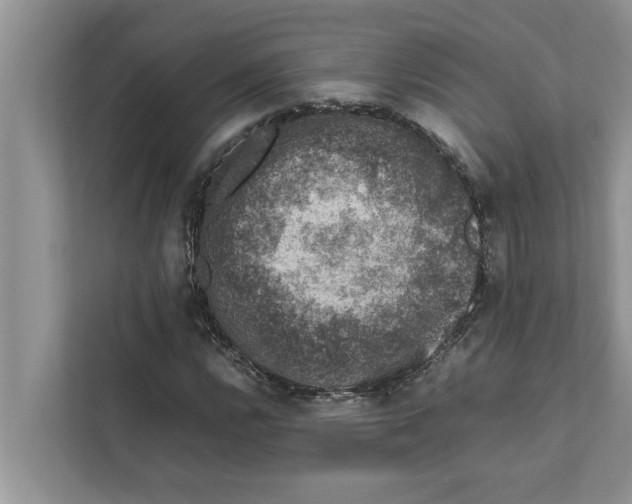 X0000111601112200908271003