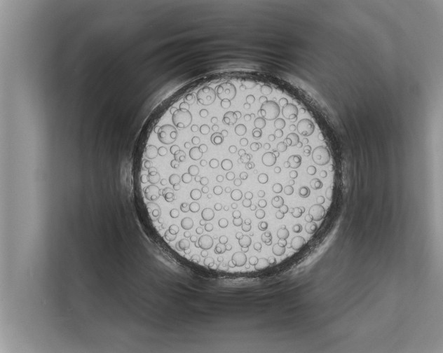 X0000111601113200908271003