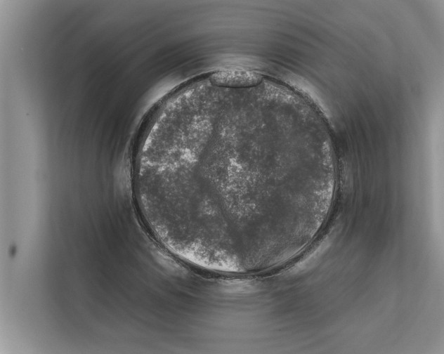 X0000111601114200908271003