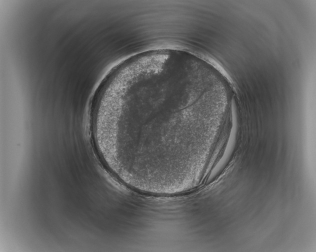 X0000111601116200908271003