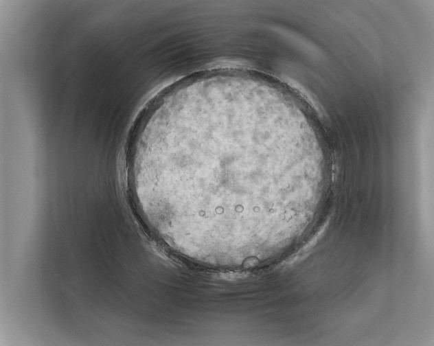 X0000111601117200908271003