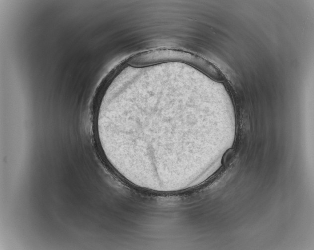 X0000111601118200908271003