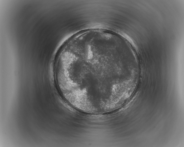 X0000111601120200908271003