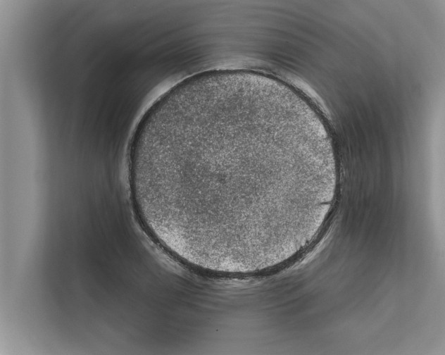 X0000111601122200908271003