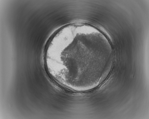 X0000111601124200908271003