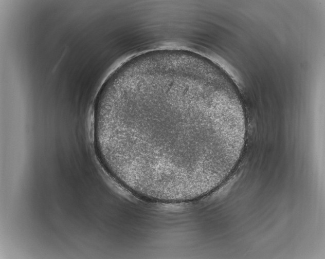 X0000111601126200908271003
