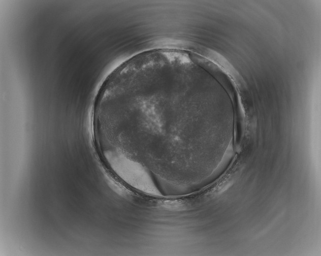 X0000111601128200908271003