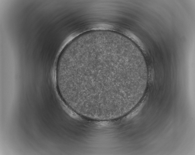 X0000111601130200908271003