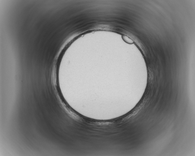 X0000111601131200908271003