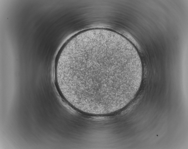 X0000111601132200908271003