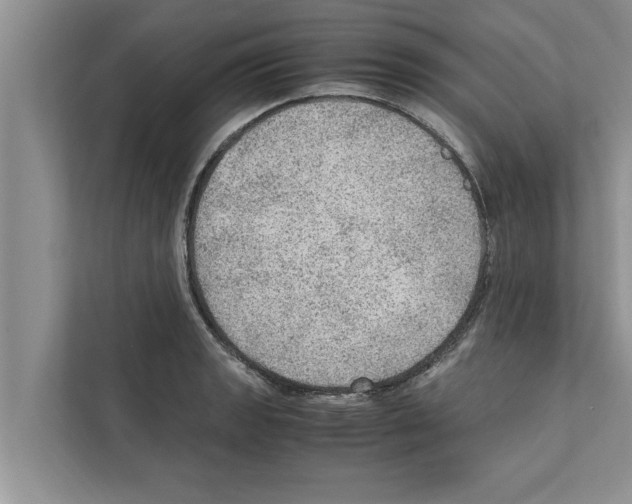 X0000111601133200908271003