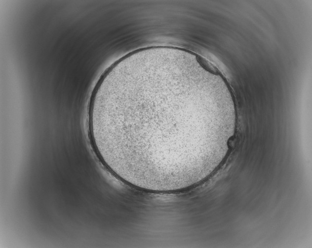 X0000111601136200908271003