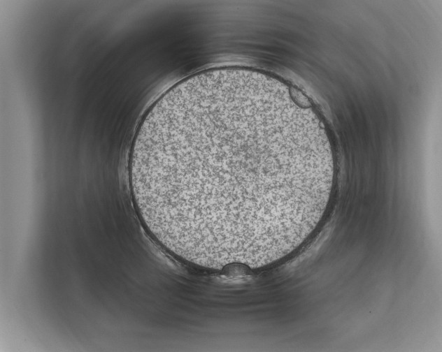 X0000111601137200908271003